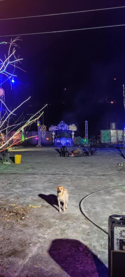 Stayhigh Camps & Cottages Касоль Екстер'єр фото